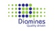 Diamines and Chemicals Ltd Q2 FY2025 consolidated PAT at Rs. 2.46 crore
